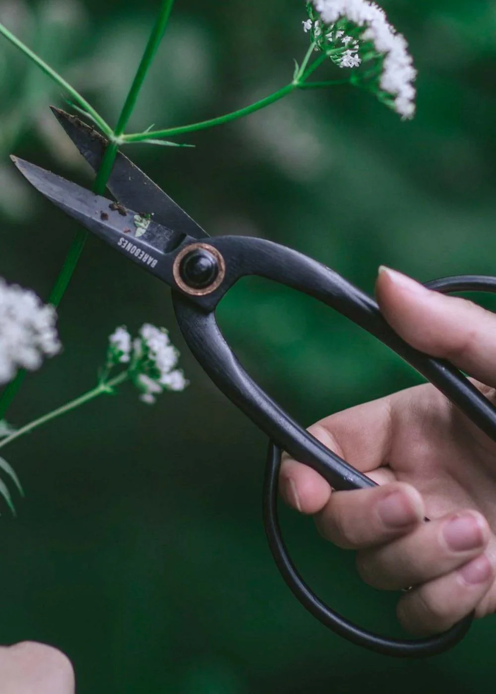 Artisan Garden Pruning Shears - Image 4
