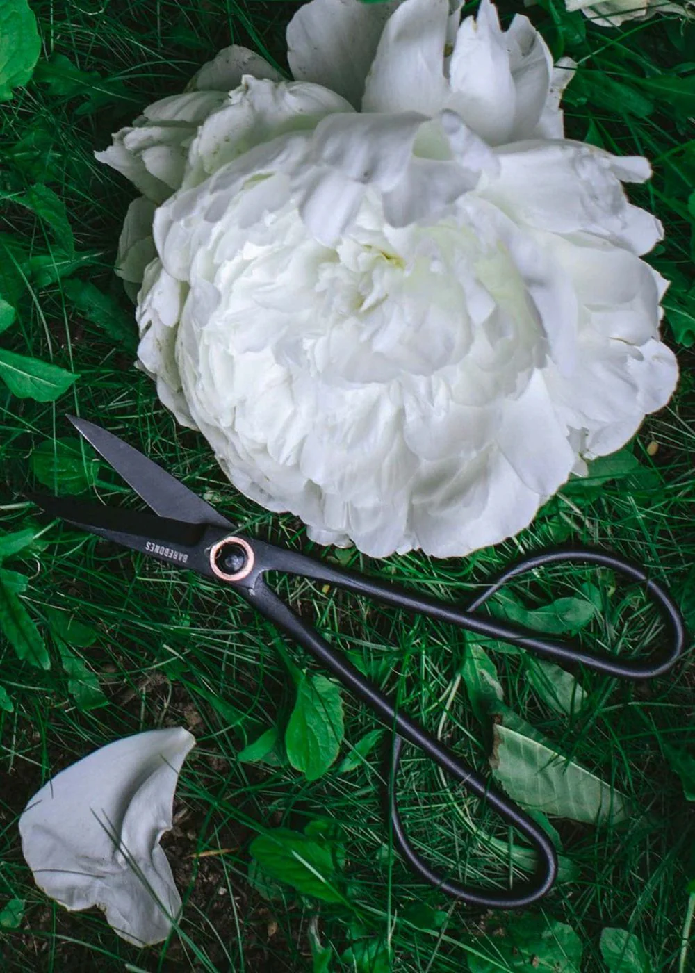 Artisan Garden Pruning Shears - Image 6