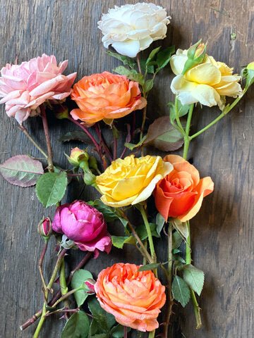 The Classic Garden Rose Bouquet - Image 3