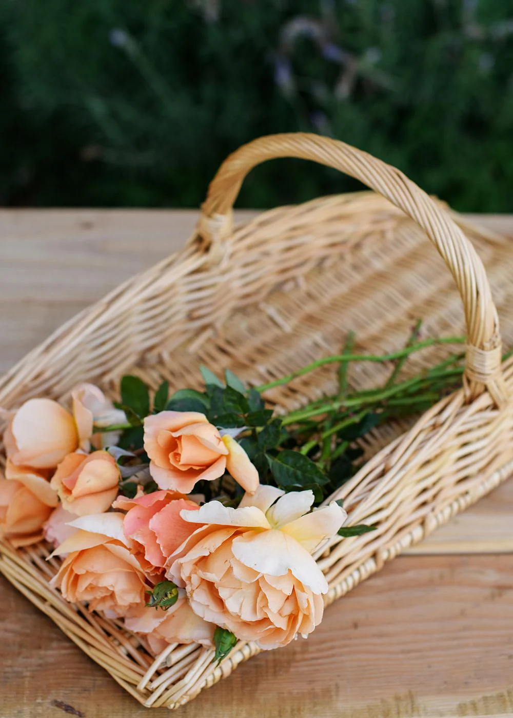 The Floral Garden Trug Harvest Basket - Image 4