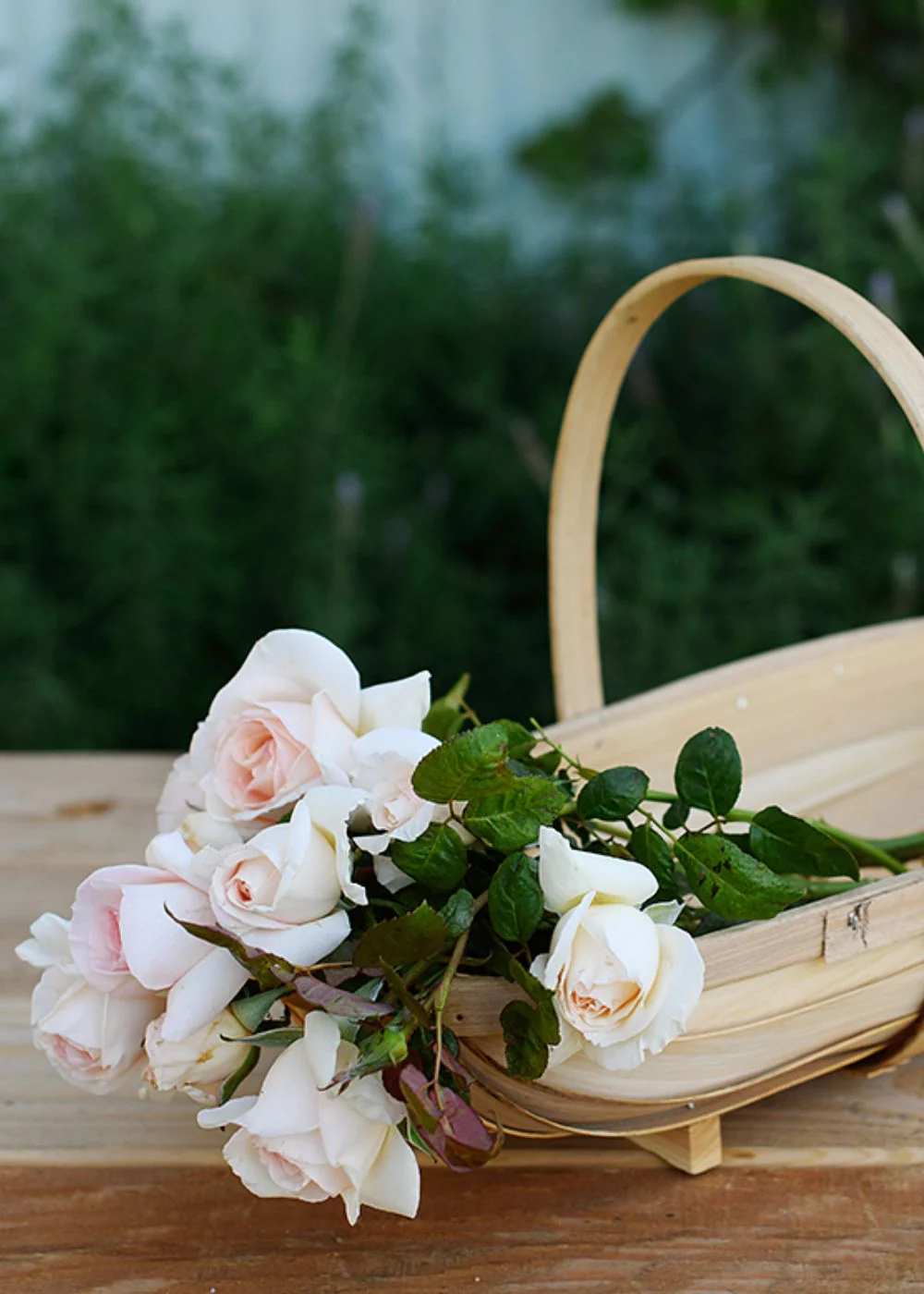 Willow Branch Garden Trug Basket - Image 8