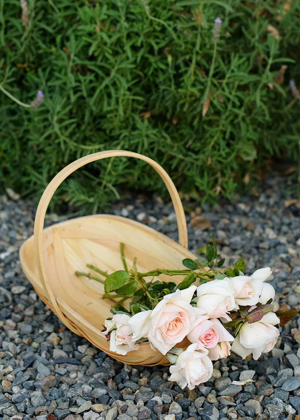 Willow Branch Garden Trug Basket - Image 9