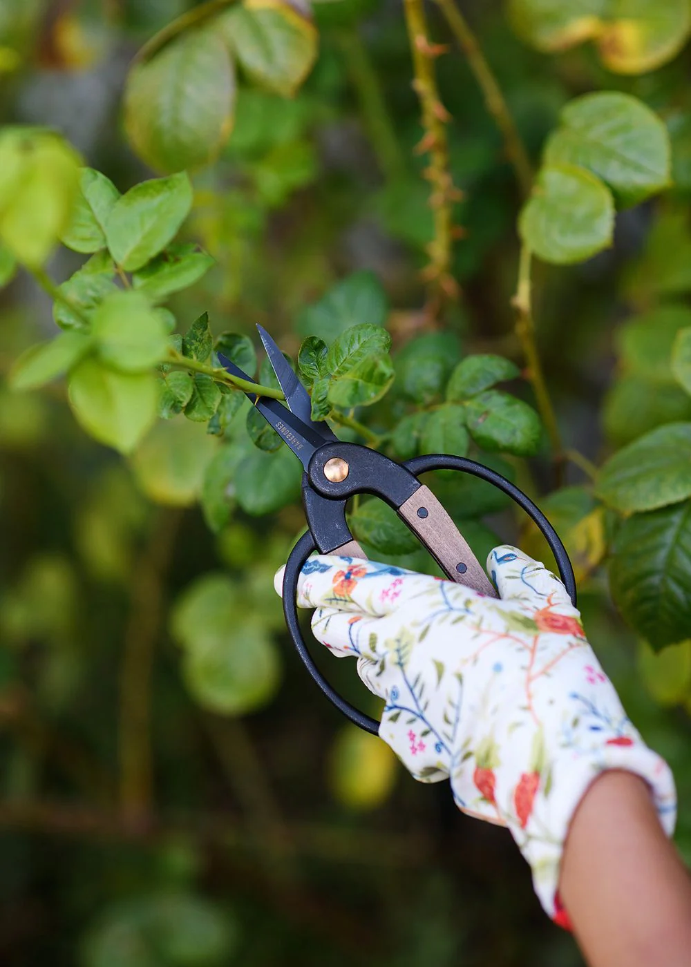 Garden of Paradise Weeding Glove - Image 3