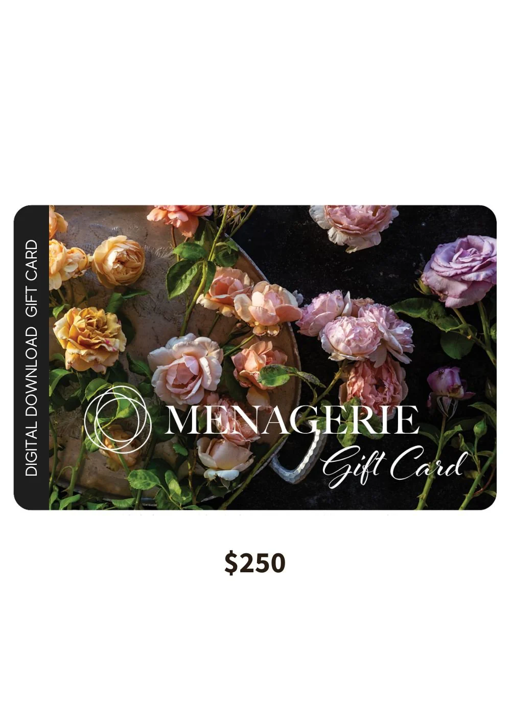 Gift Card - Digital - Image 9