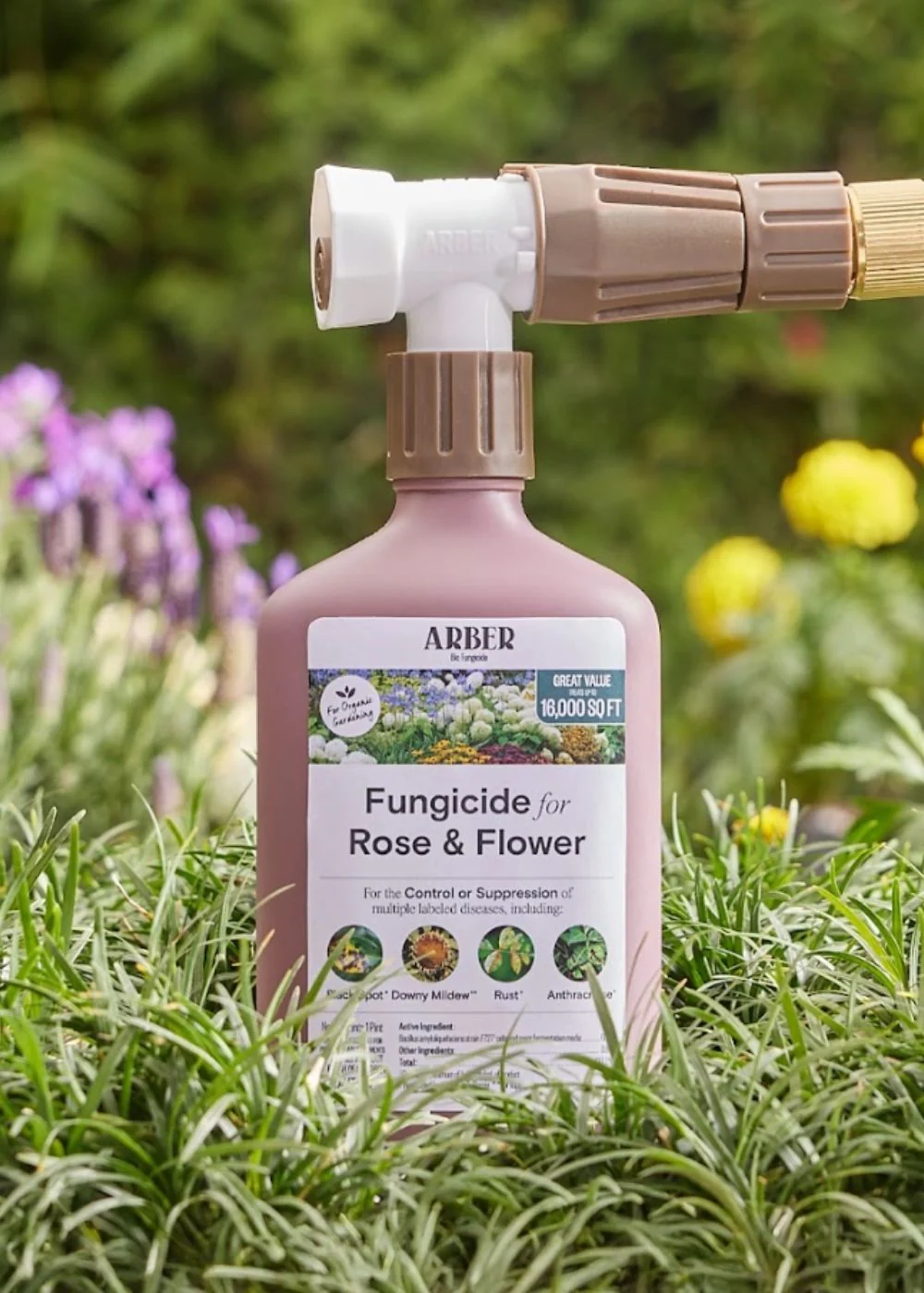 Organic Rose & Flower Fungicide Spray - Image 3