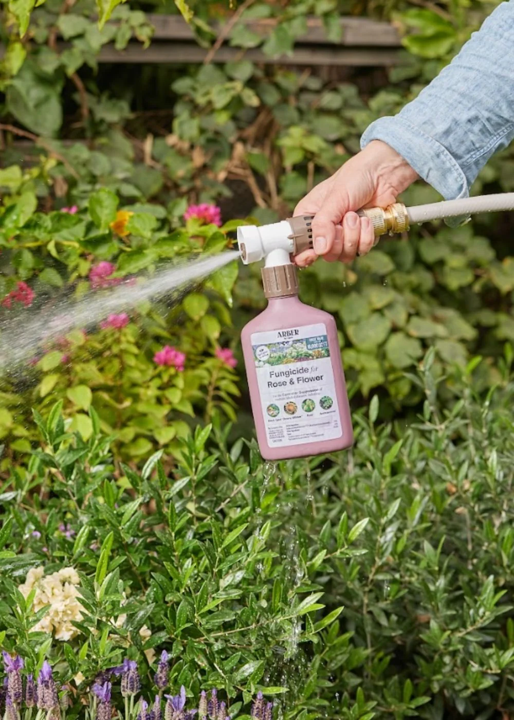 Organic Rose & Flower Fungicide Spray - Image 4