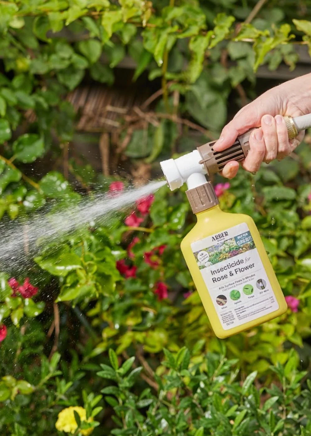 Organic Rose & Flower Insecticide Spray - Image 4