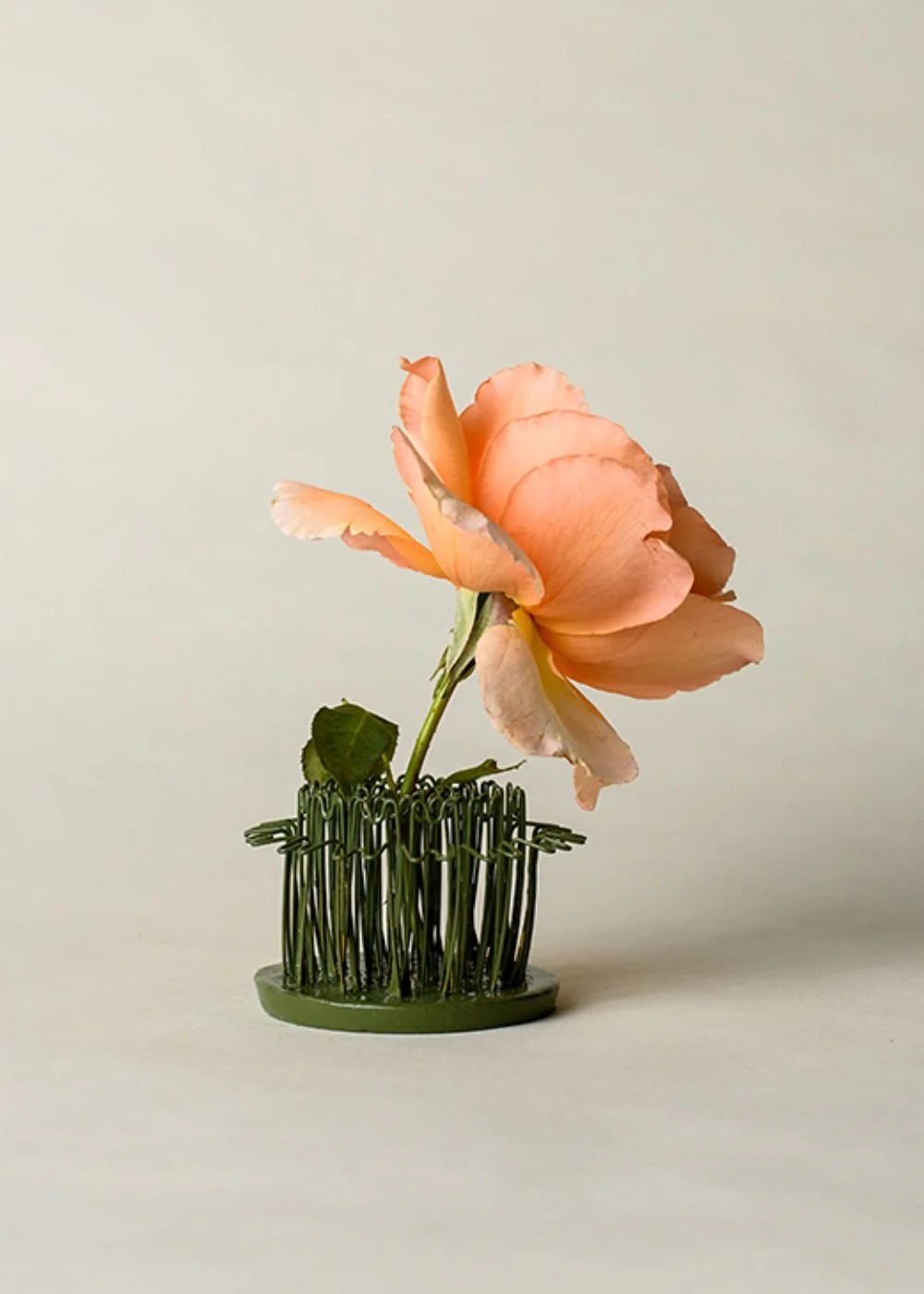 The Hairpin Flower Frog Holder