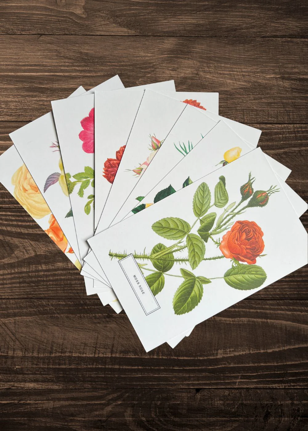 Vintage-Style Botanical Rose Postcard Prints (Set of 10) - Image 4