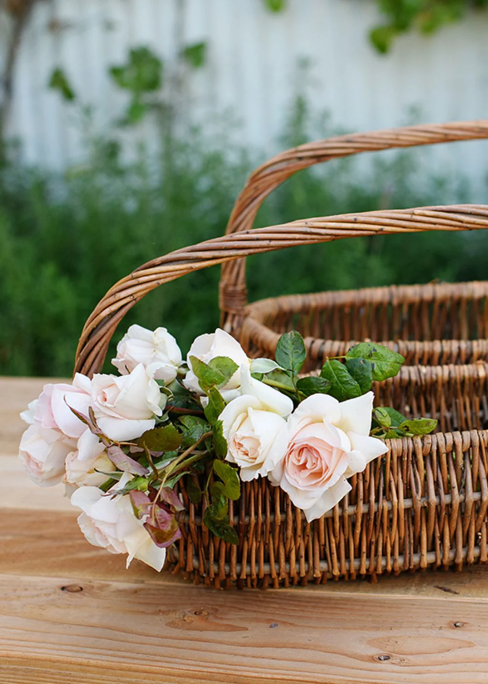 Wicker Garden Harvest Basket Oval - Image 3