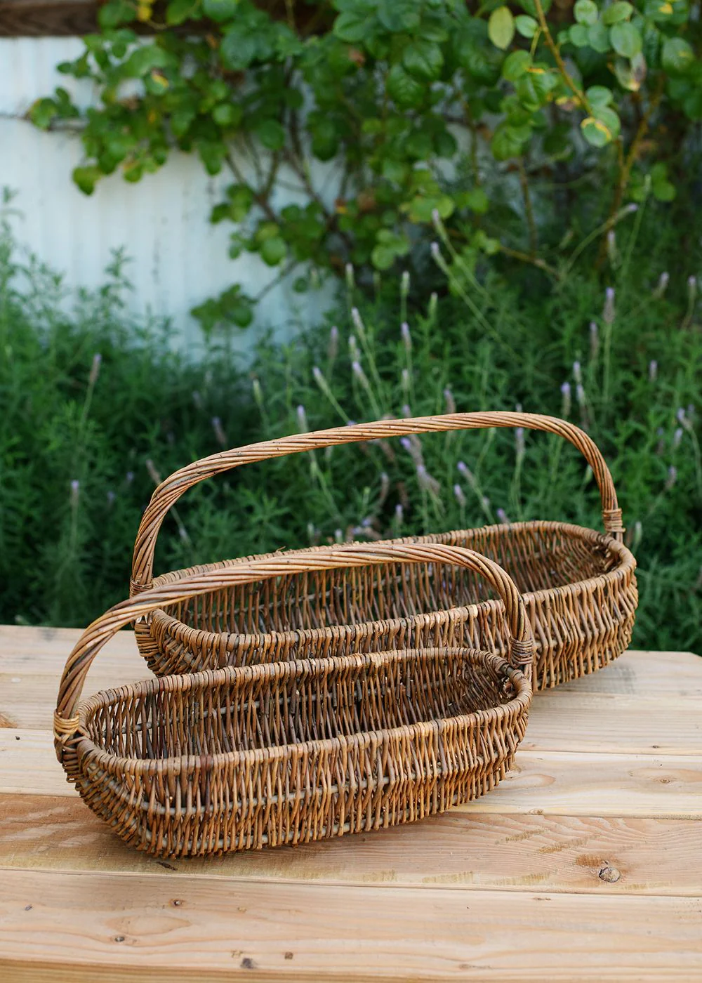 Wicker Garden Harvest Basket Oval - Image 4